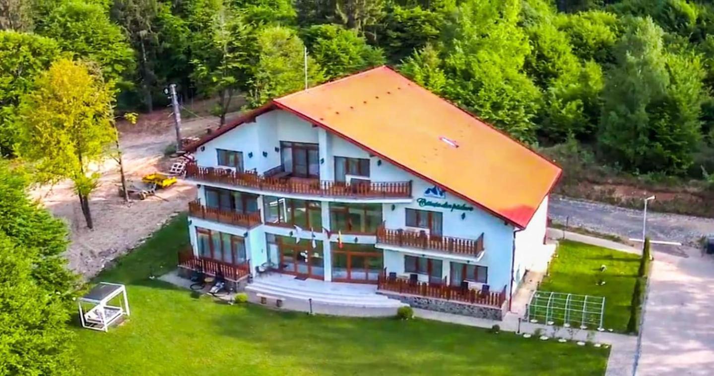 Casuta Din Padure Panzió Dragus Kültér fotó