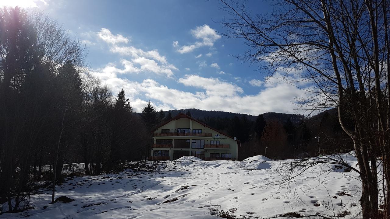 Casuta Din Padure Panzió Dragus Kültér fotó